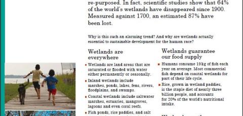 FactSheets 1-4  World Wetlands Day 2015