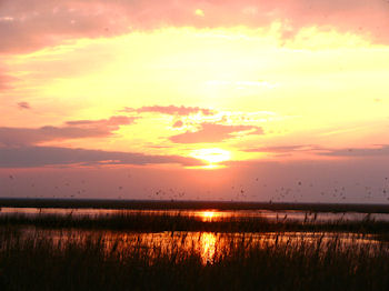 Zharsor lake, Kazakhstan