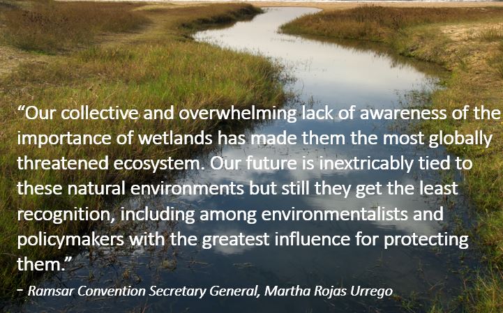 Our dangerous indifference to the world's richest ecosystem: Natural  wetlands | Ramsar