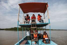 Dolphin survey, Rajang-Belawai Delta Wetlands, Malaysia
