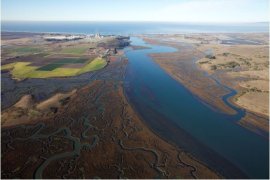 Elkhorn Slough