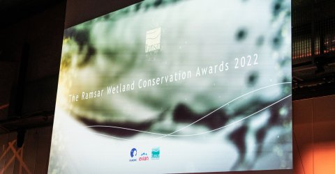Ramsar Awards 