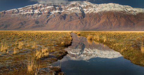Gandoman Wetland