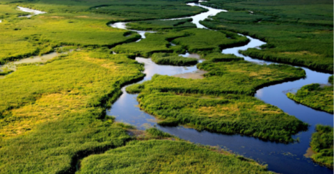 Narew Poland