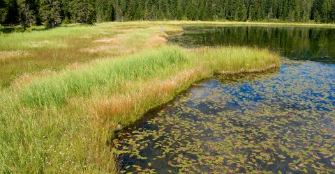 Peatlands in Styrian Salzkammergut, Miesbodensee