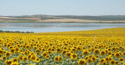 15384-FP14-06-11.JPG