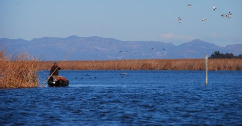 Albufera