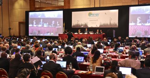 COP12 delegates in the plenary room