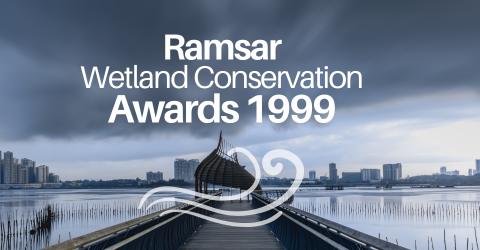 Ramsar Awards 1999