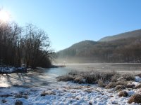 Marais et tourbières des montagnes du Bugey