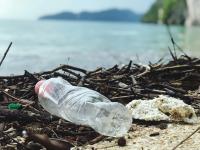 Plastic pollution poses a threat to Ramsar Sites.