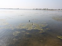 Pyu lake.jpg