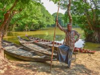 sundarban boatman