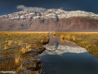 Gandoman Wetland