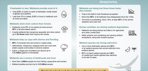 WWD2023 Infographics