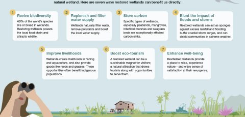 WWD2023 Infographics