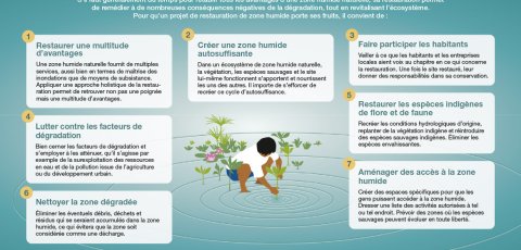 WWD2023 Infographics_