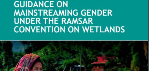 Guidance on Mainstreaming Gender