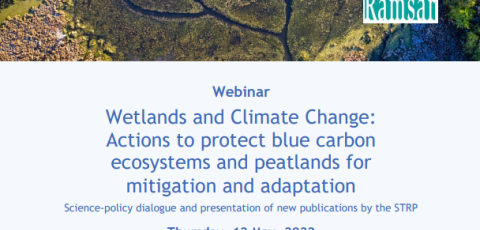 Webinar climate change