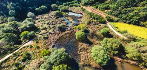 Republic of Korea designates Mungyeong Doline Wetland.png