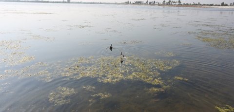 Pyu lake.jpg