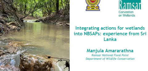 Integrating actions for wetlands into NBSAPs experience from Sri Lanka