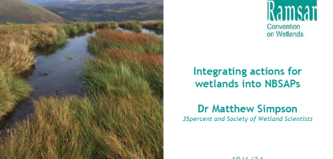 Integrating actions for wetlands into NBSAPs