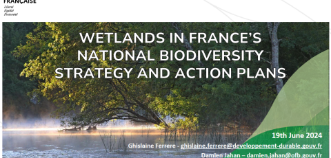 Wetlands in France's National Biodiversity Strategy and Action Plans