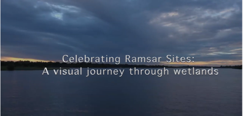 Photo Exhibition.png