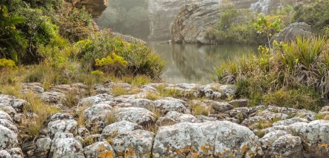 Mkambati Nature Reserve