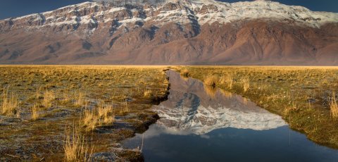 Gandoman Wetland