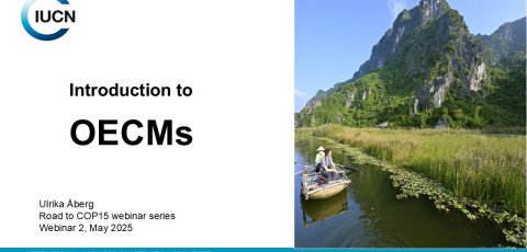 Introduction to OECMs.jpg