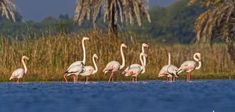 Menar Wetland Complex