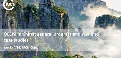 OECM in China - general progress and wetland case studies.jpg