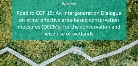 Webinar OECMs