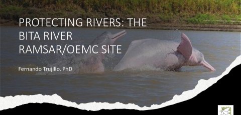 Protecting Rivers - The Bita River Convention on Wetlands - OECMs site.jpg