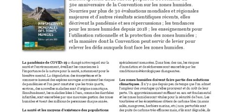 Global Wetland Outlook: Special edition 2021 – Executive summary (French)