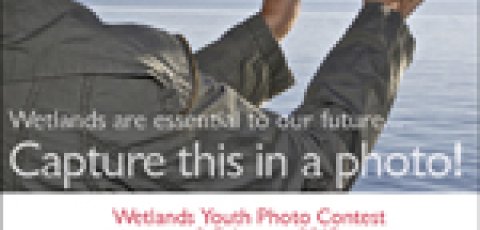 World Wetlands Day 2015 Poster Photo Contest