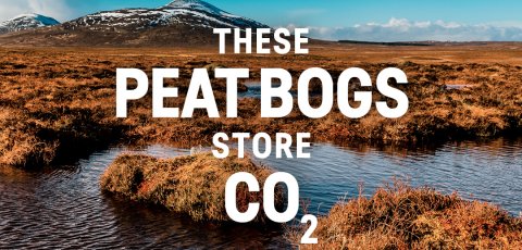 Social media tile: Peatbogs