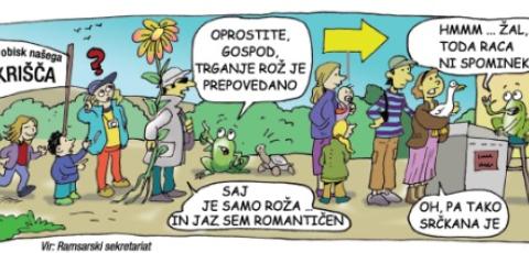 Slovenia, Cartoon 3