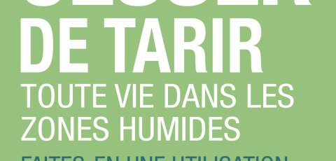 Cartes de Reseaux Sociaux