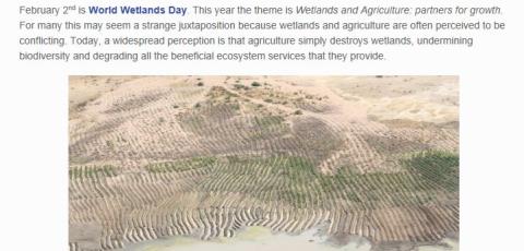 Article by CGIAR, Addressing the wetland and agriculture conundrum