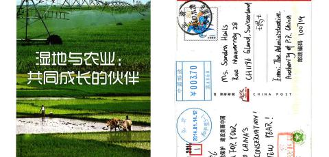China, Postcard
