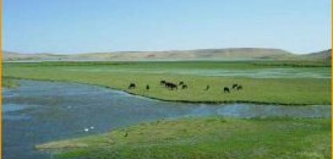 Article by the GEF: Revitalizing Ramsar wetlands in the Naghadeh Plain near Lake Urmia