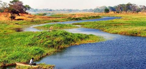 Article by IWMI, Wising up to wetlands and agriculture