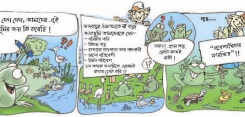 Bangladesh, Cartoon