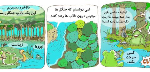 Iran, Cartoon 3