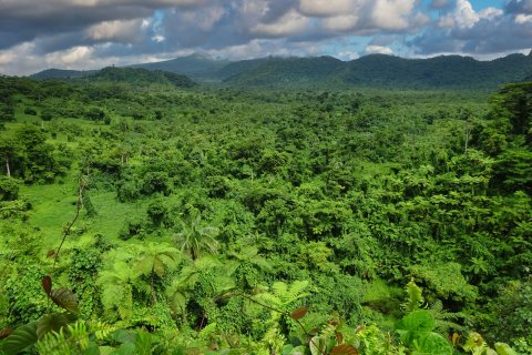 Vaipu Swamp Conservation Area.jpg