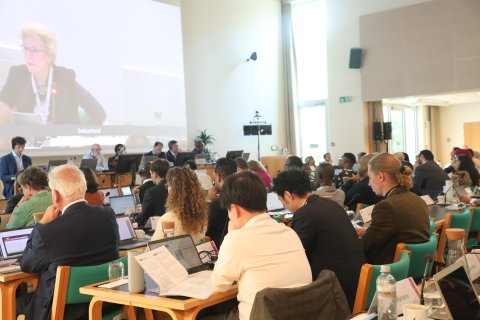 Group 4.JPG 