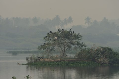 Nanjarayan Bird Sanctuary